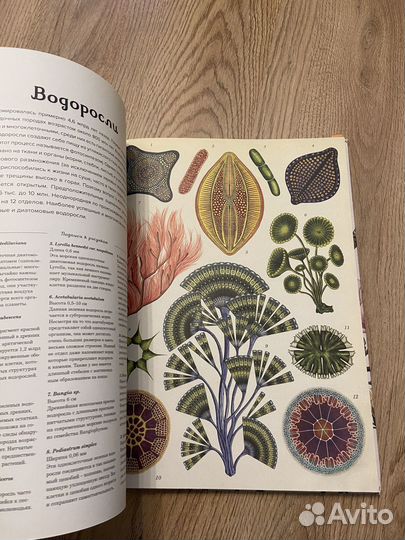 Ботаникум книга