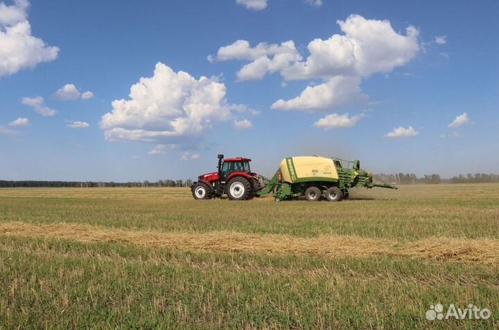 Трактор YTO ELG1604, 2023