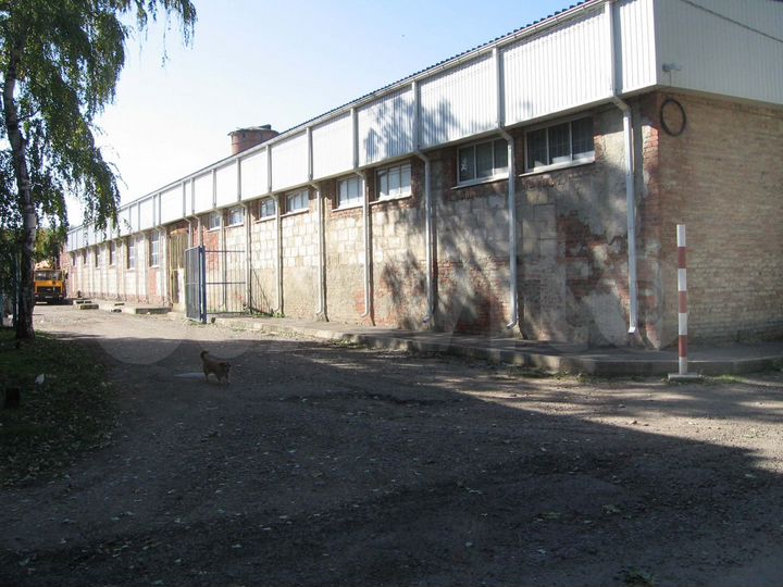 Производство, 1650 м²