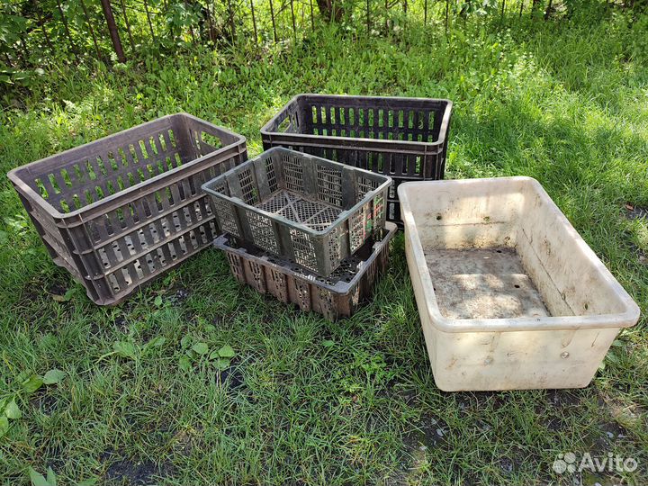 Пищевые ящики, тары, контейнеры 5 шт