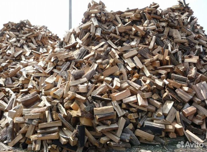 Дрова береза