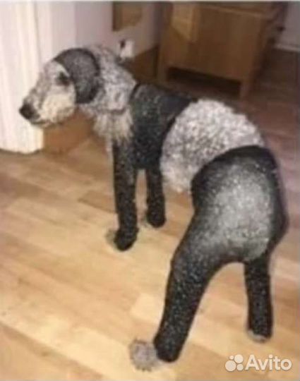 Костюм