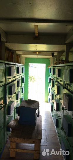 Павильон для пчел