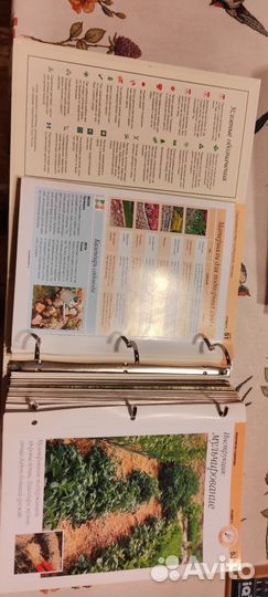 Книга каталог Сад моей мечты энциклопедия