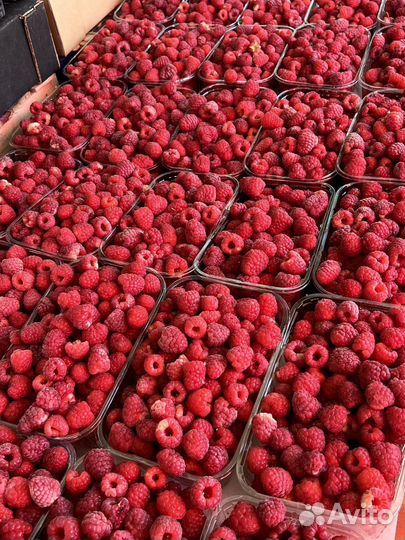 Малина ягода свежая