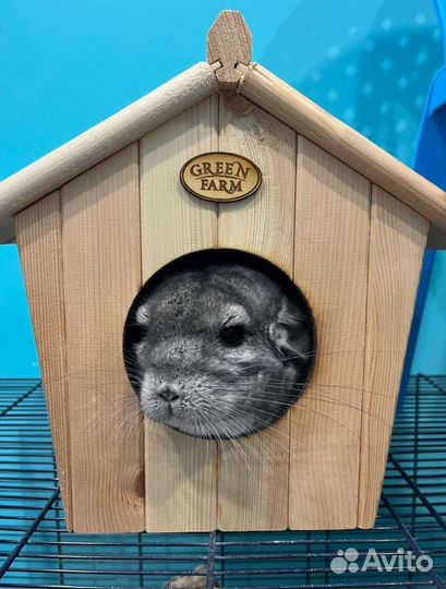 Домик для шиншилл и других грызунов