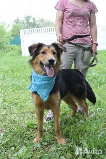 Детство шенка не должно быть за решеткой