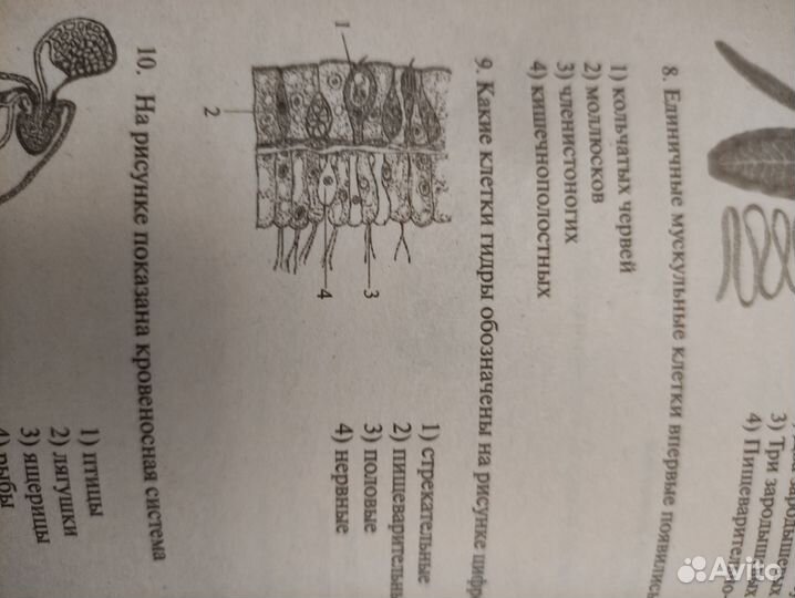 Пособия огэ егэ биология
