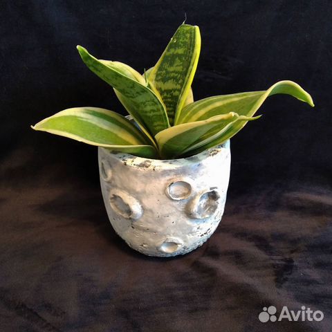 Кашпо бетонное ручной работы - Луна