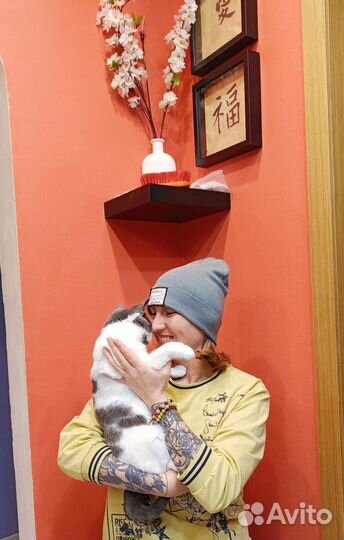 Присмотрю за вашим животным