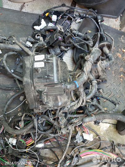 Проводка двигателя 1.6 Hyundai Solaris