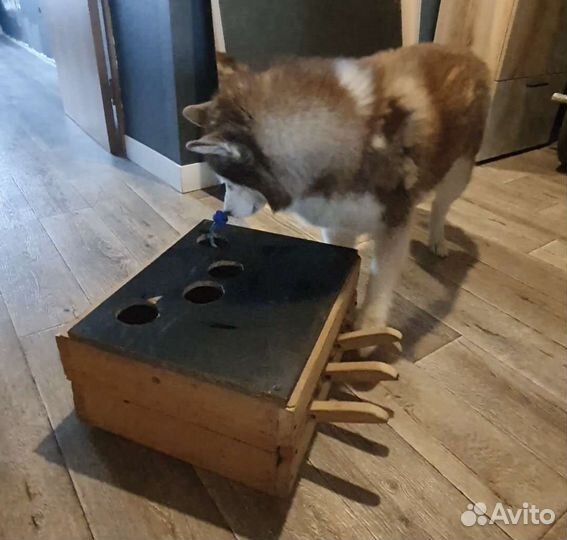 Развивающая игрушка для собаки