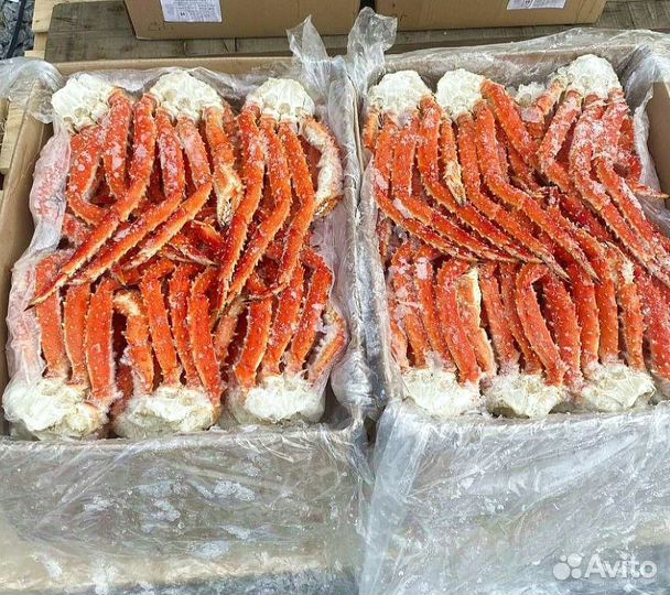 Клешни камчатского краба