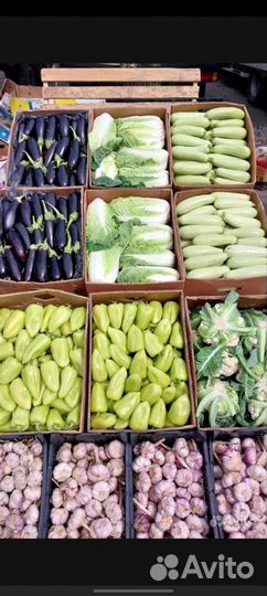 Помидоры пальчики,огурцы