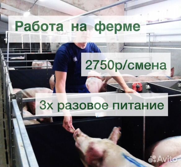 Уход за животными Брянская область