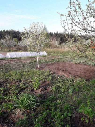 Участок 10 сот. (СНТ, ДНП)