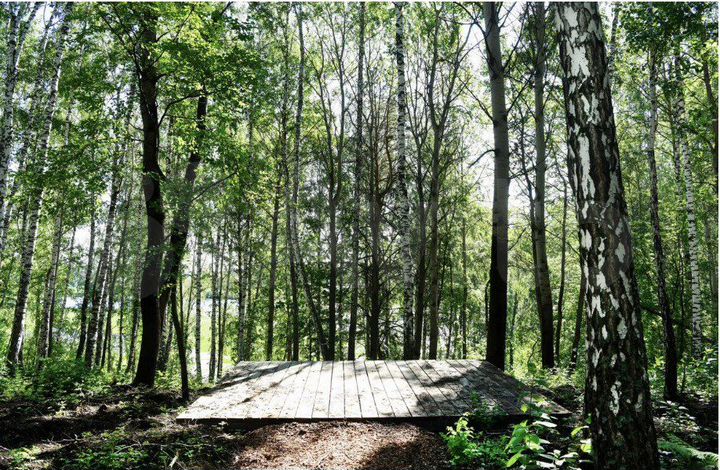 Участок 6,7 сот. (ИЖС)