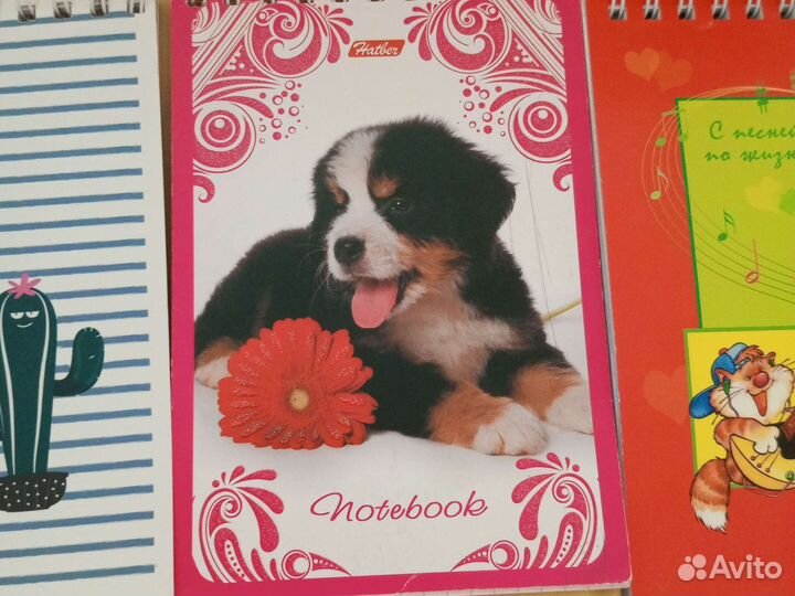 Блокноты А6