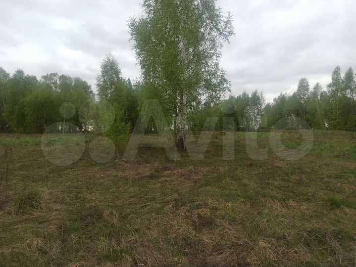Участок 24 га (СНТ, ДНП)