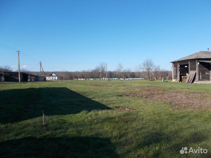 Мёд лесное разнотравье