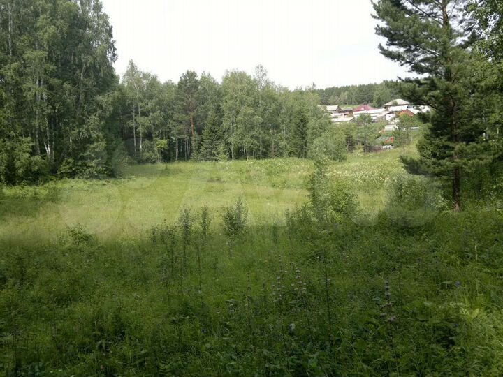 Участок 50 сот. (СНТ, ДНП)