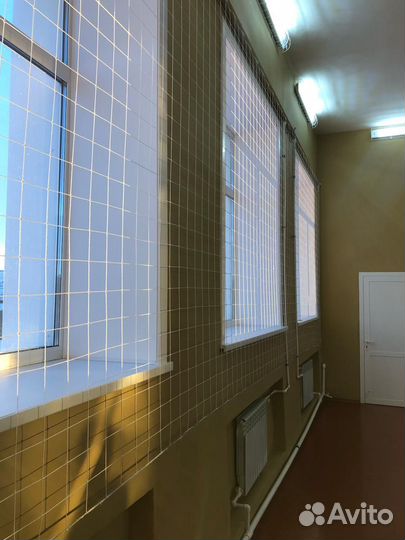 Сетка на окна в спортзале школы капроновая