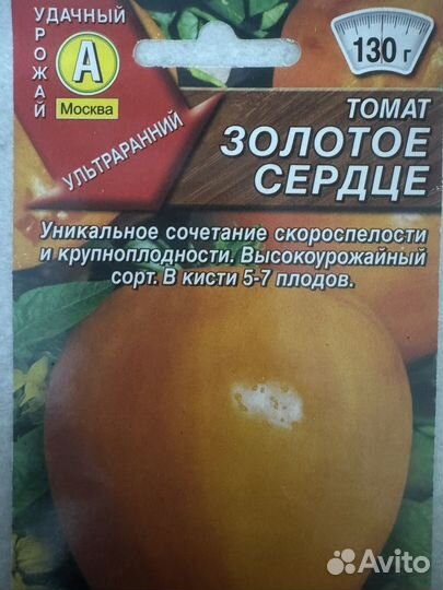 Рассада помидор