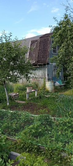 Дом 25 м² на участке 4,6 сот.