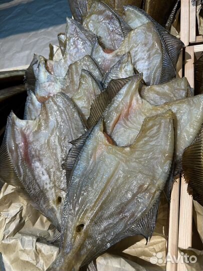 Камбала ерш из Мурманска