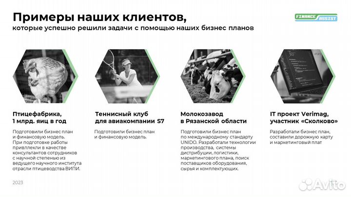 Профессиональная подготовка бизнес плана и тэо