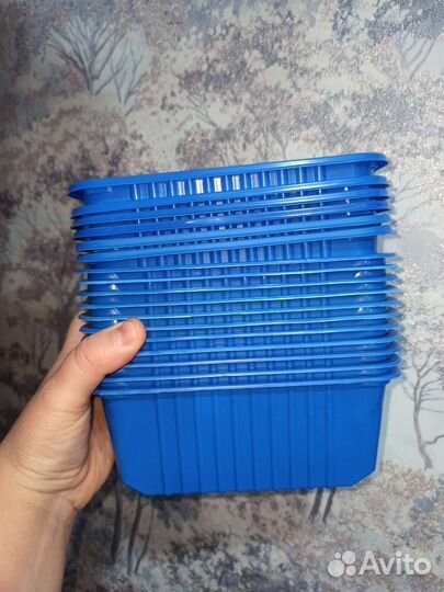 Поддоны для рассады
