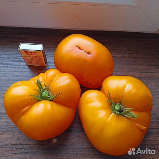 Семена толстостенных перчиков и вкусных помидор