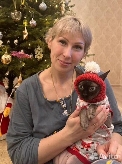 Игрушка для собак и кошек