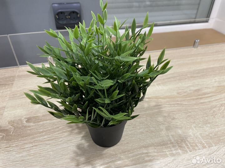 Комнатный бамбук IKEA искусственный в горшке фейка