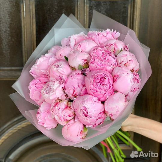 Голландские Пионы в наличии