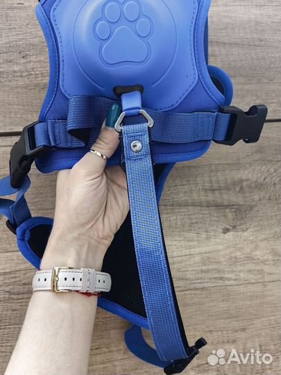 Шлейка для собак с поводком