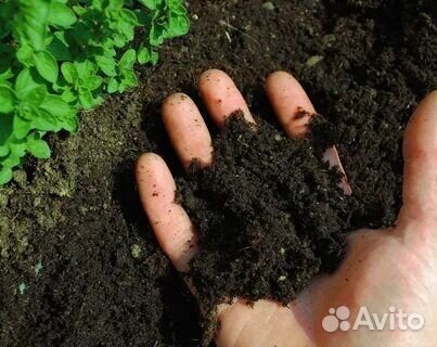 Торфосмесь