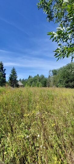 Участок 30 сот. (ИЖС)