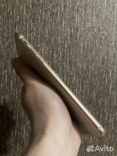 iPhone 8 Plus, 256 ГБ