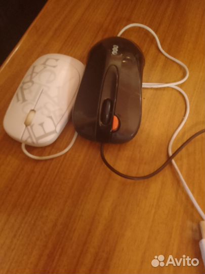 Мышка для компьютера