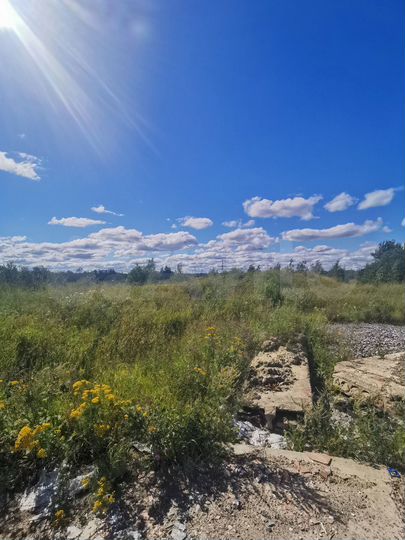 Участок 9,88 га (ИЖС)