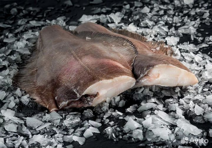 Палтус св/мор 0.5-1 кг