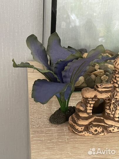 Аквариум 3л + подарок корм для Петушков