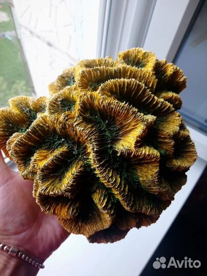 Декорации для аквариума