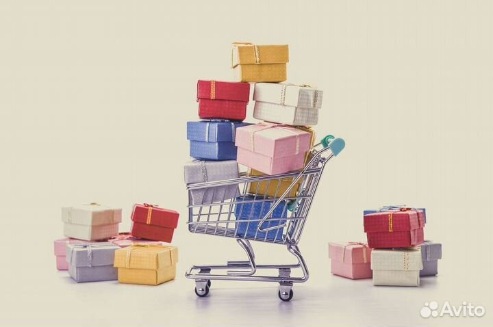 Свой человек в Москве, помощь в Москве