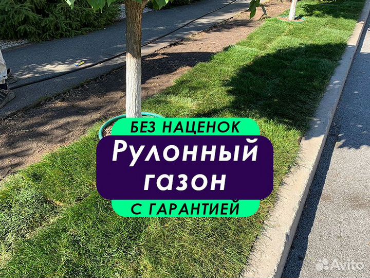 Спортивный газон. Футбольный газон