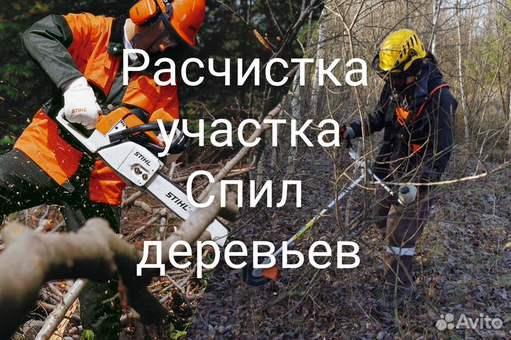 Расчистка участка, Спил деревьев
