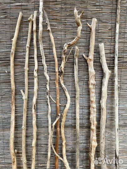 Морские палочки дрифтвуд от 100 до 220 см