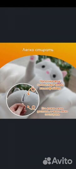 Длинные коты 2023 тренд