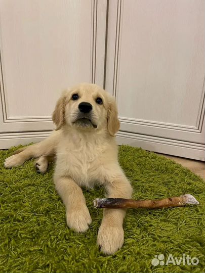 Фигурные лакомства. Без химии